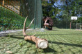 /album/zst-2026/dsc-3333-jpg/