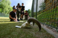 /album/zst-2026/dsc-3334-jpg/